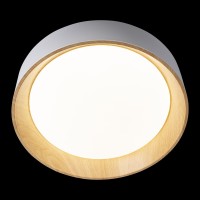 Потолочный светильник LOFT IT Coin 10202 White