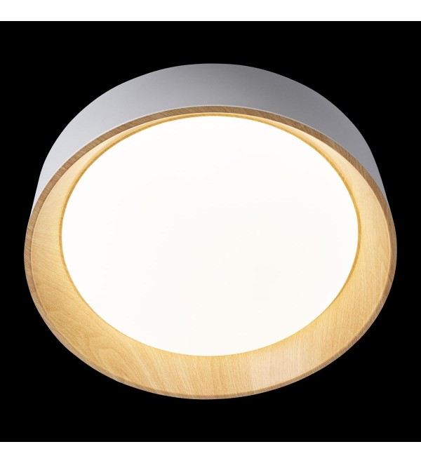 Потолочный светильник LOFT IT Coin 10202 White