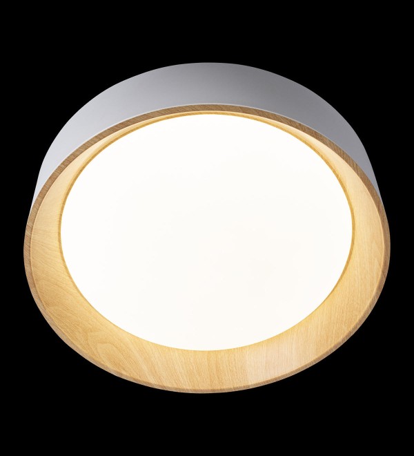 Потолочный светильник LOFT IT Coin 10202 White