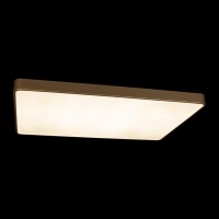 Потолочный светильник LOFT IT Flims 10228/E