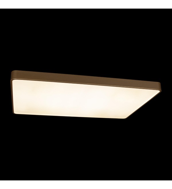 Потолочный светильник LOFT IT Flims 10228/E