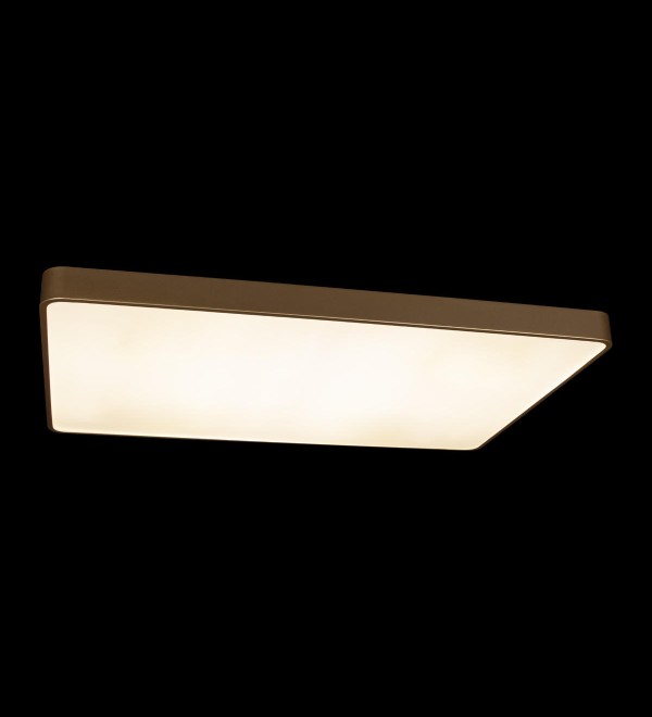 Потолочный светильник LOFT IT Flims 10228/E
