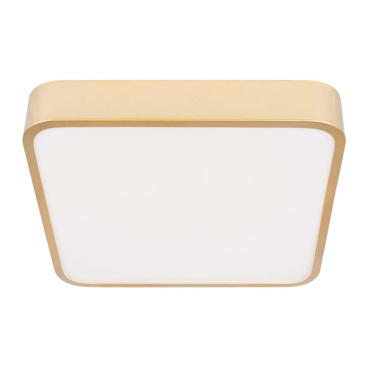 Потолочный светильник LOFT IT Flims 10228/C
