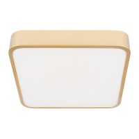 Потолочный светильник LOFT IT Flims 10228/C