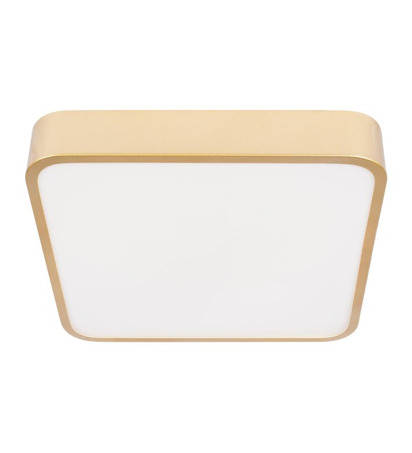 Потолочный светильник LOFT IT Flims 10228/C