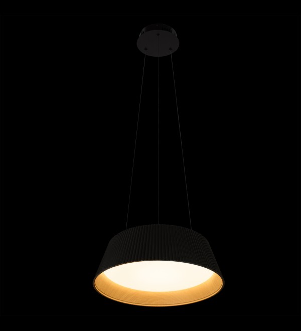 Подвесной светильник LOFT IT Evans 10224P Black