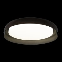 Потолочный светильник LOFT IT Coin 10198 Black