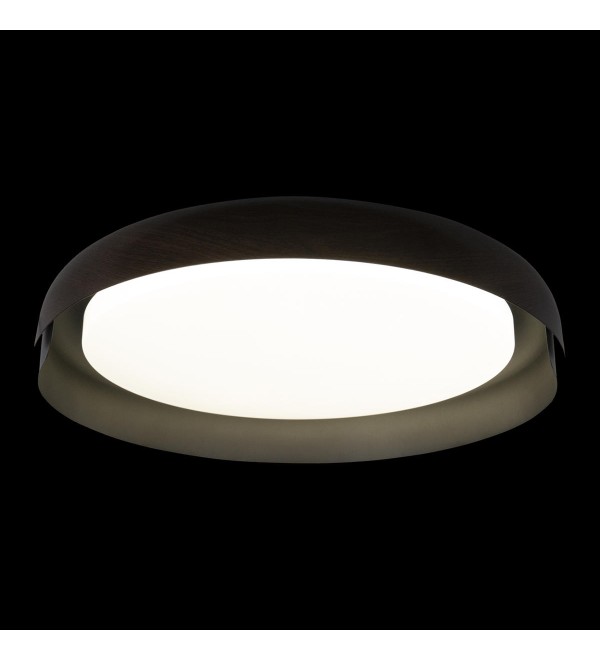 Потолочный светильник LOFT IT Coin 10198 Black