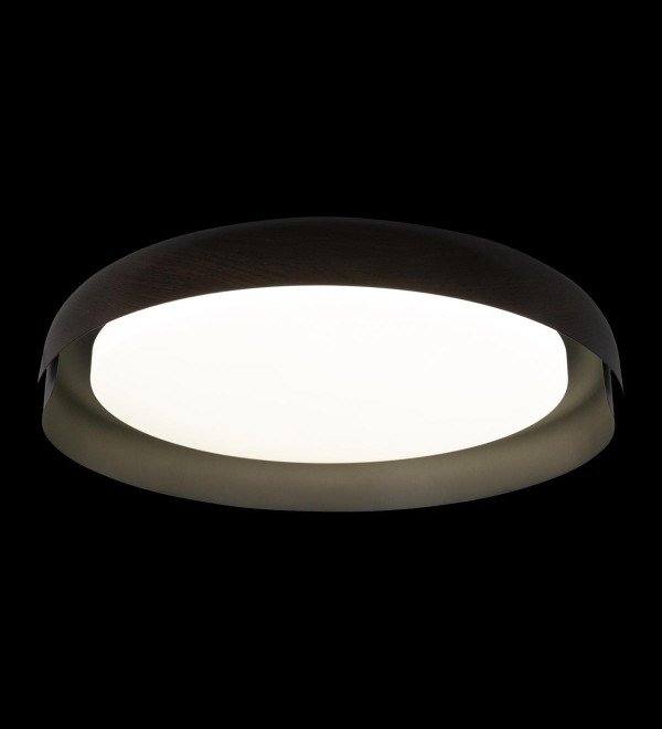 Потолочный светильник LOFT IT Coin 10198 Black