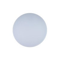 Потолочный светильник LOFT IT Axel 10002/48 White