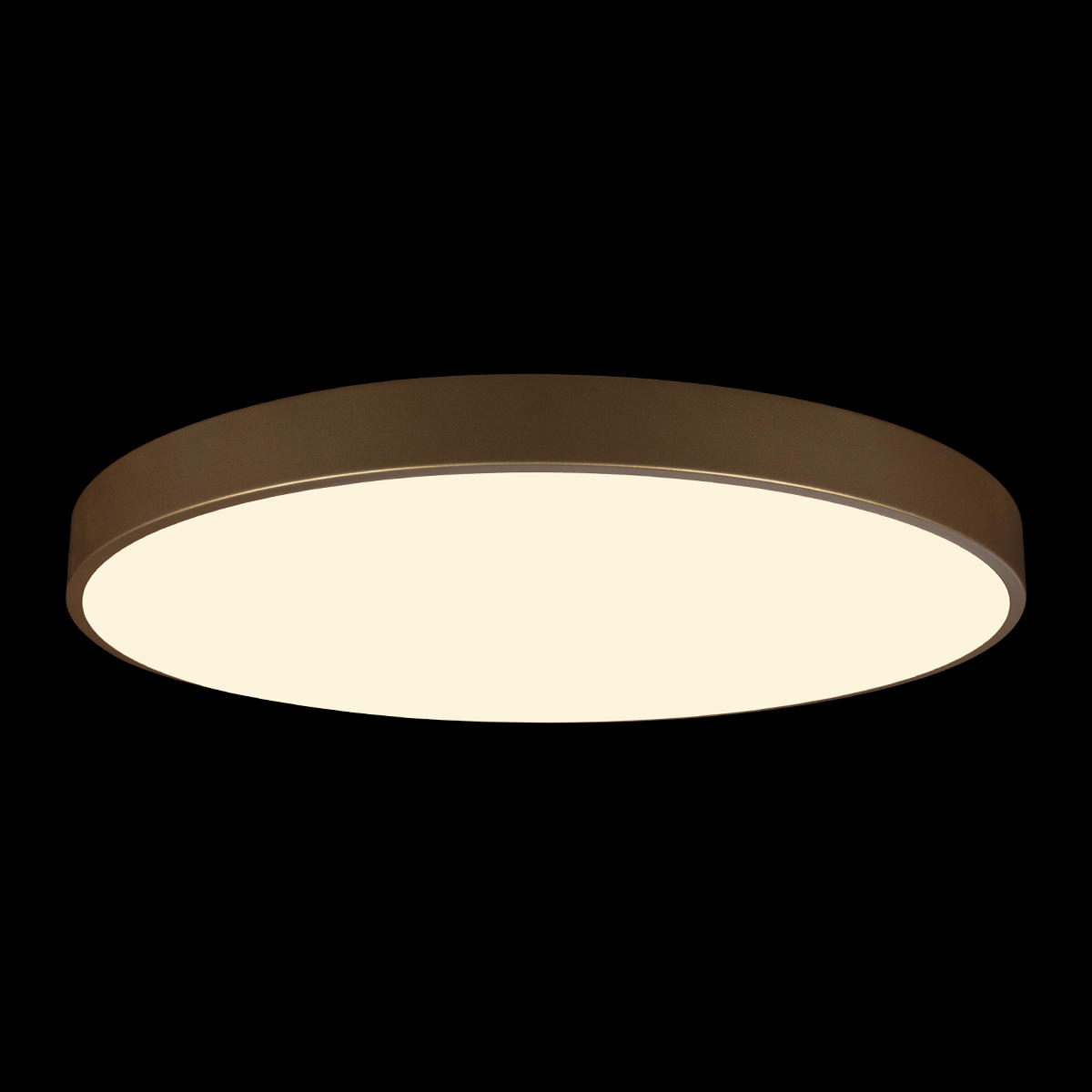 Потолочный светильник LOFT IT Flims 10228/B