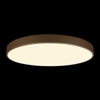Потолочный светильник LOFT IT Flims 10228/B