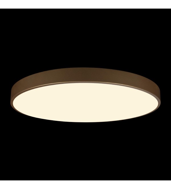 Потолочный светильник LOFT IT Flims 10228/B