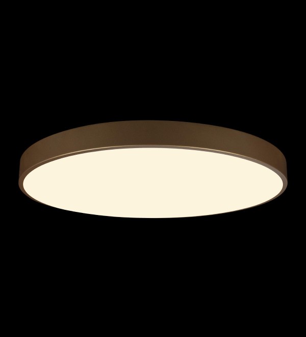 Потолочный светильник LOFT IT Flims 10228/B