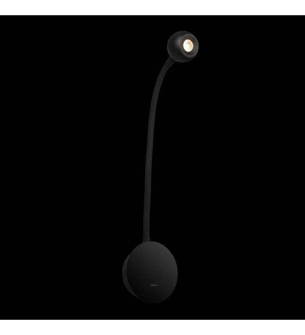 Настенный светильник LOFT IT Point 10254 Black