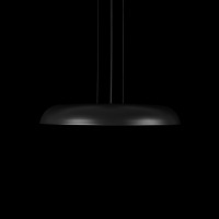 Подвесной светильник LOFT IT Dime 10371P Black