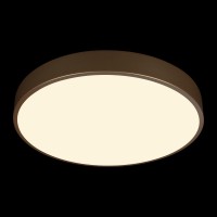 Потолочный светильник LOFT IT Flims 10228/A
