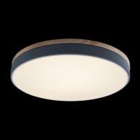 Потолочный светильник LOFT IT Axel 10001/36 Grey