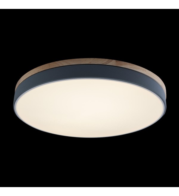 Потолочный светильник LOFT IT Axel 10001/36 Grey