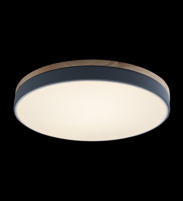Потолочный светильник LOFT IT Axel 10001/36 Grey