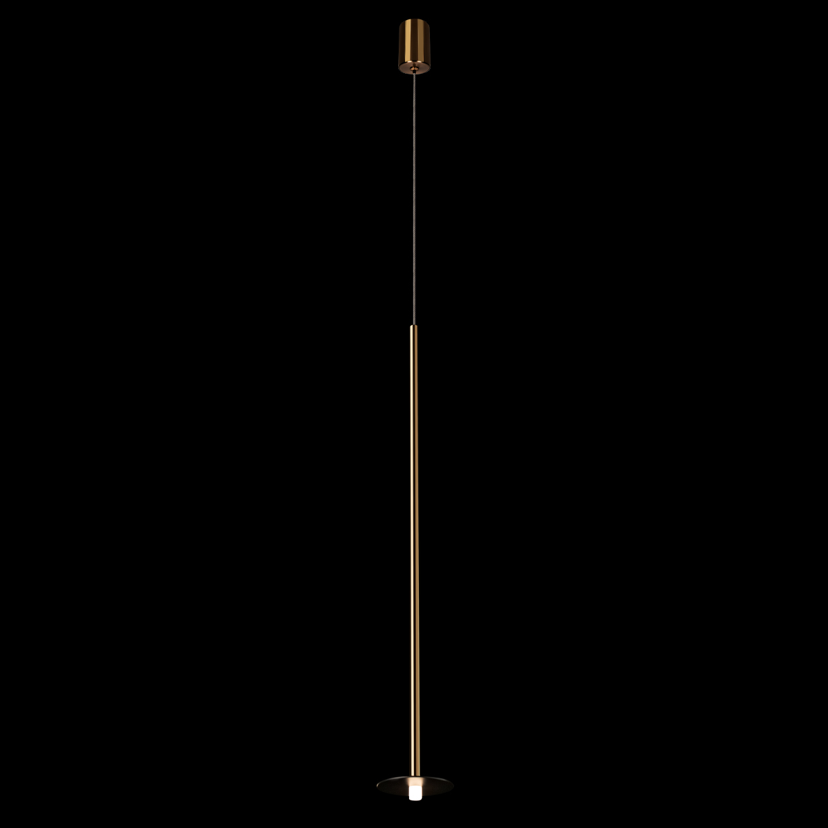 Подвесной светильник LOFT IT Reed 10358/830 Disk AB
