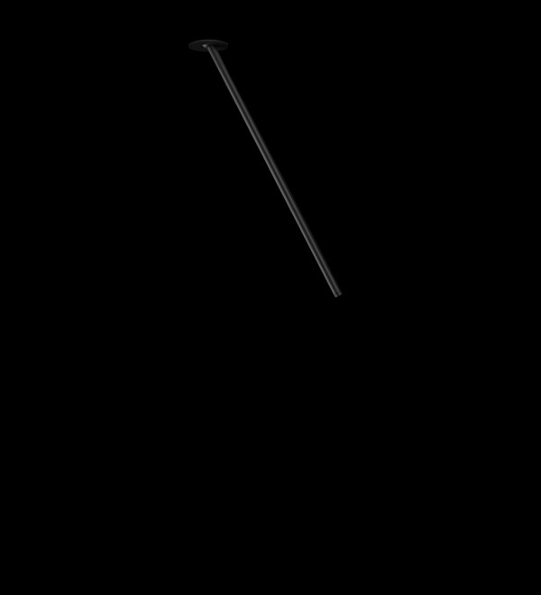 Потолочный светильник LOFT IT Cane 10359/600 Black