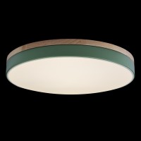Потолочный светильник LOFT IT Axel 10001/36 Green