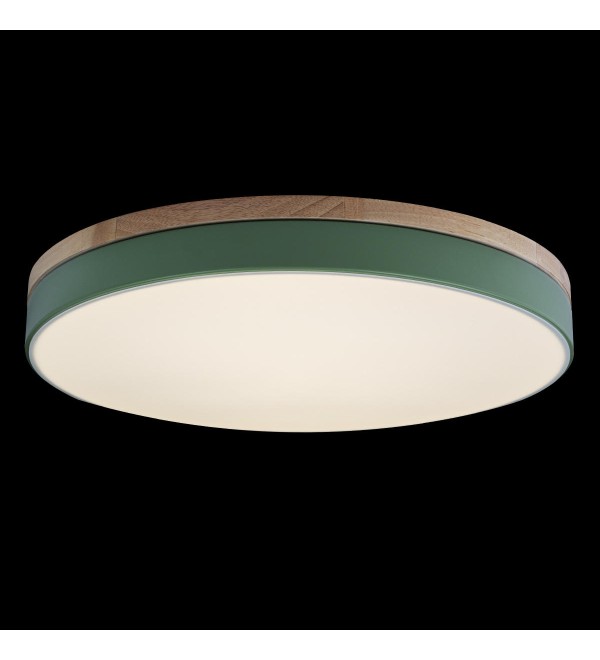 Потолочный светильник LOFT IT Axel 10001/36 Green