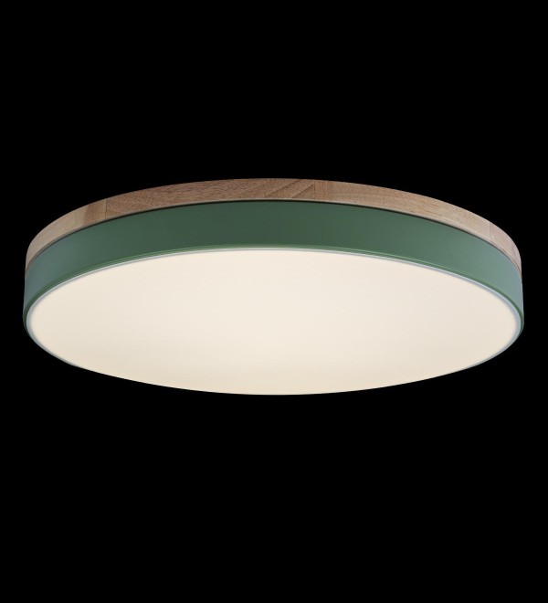 Потолочный светильник LOFT IT Axel 10001/36 Green