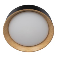 Потолочный светильник LOFT IT Coin 10202 Black