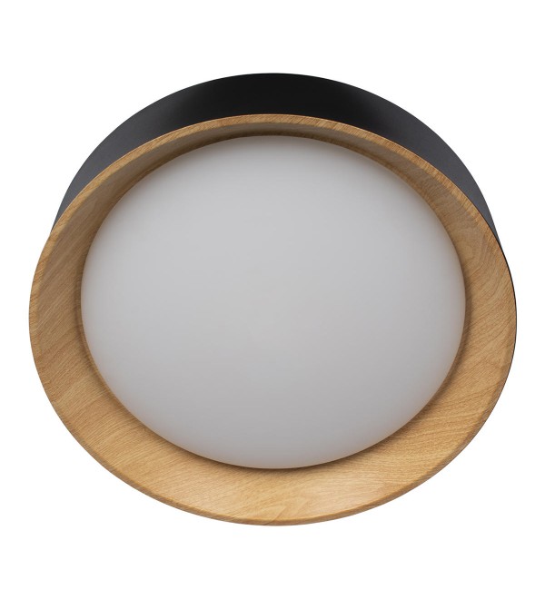 Потолочный светильник LOFT IT Coin 10202 Black