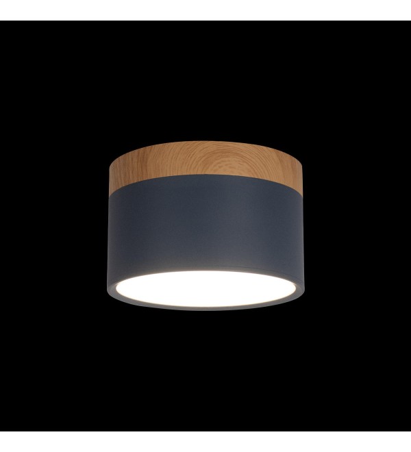 Накладной светильник LOFT IT Grape 10162 Blue