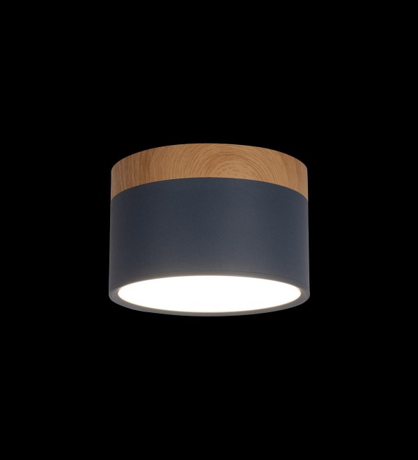 Накладной светильник LOFT IT Grape 10162 Blue