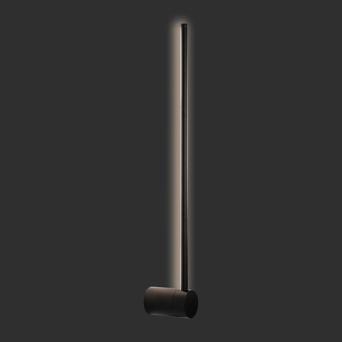 Настенный светильник LOFT IT Rays 10055BK