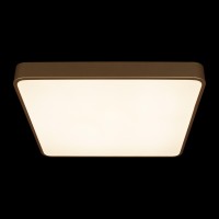 Потолочный светильник LOFT IT Flims 10228/D