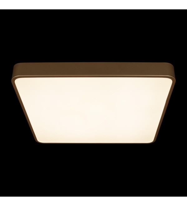Потолочный светильник LOFT IT Flims 10228/D