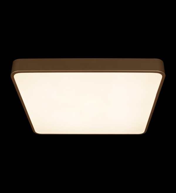 Потолочный светильник LOFT IT Flims 10228/D