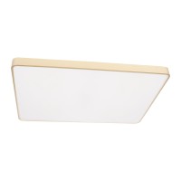 Потолочный светильник LOFT IT Flims 10228/E