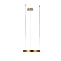 Подвесной светильник LOFT IT Ring 10013S