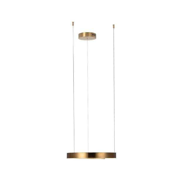 Подвесной светильник LOFT IT Ring 10013S