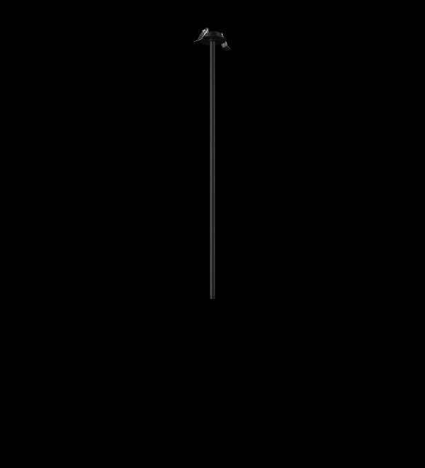 Потолочный светильник LOFT IT Cane 10359/800 Black