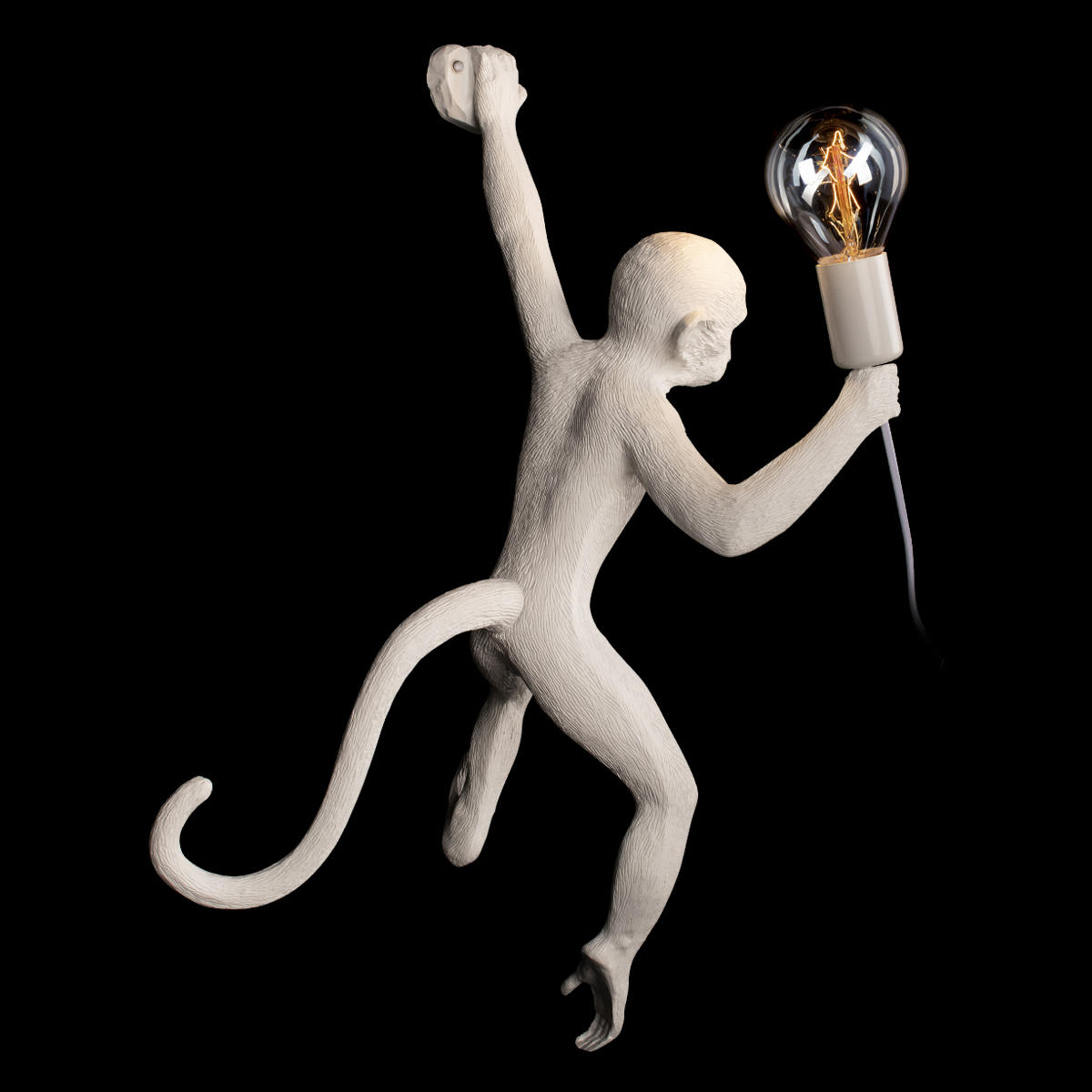 Настенный светильник LOFT IT Monkey 10314W/A