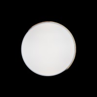 Потолочный светильник LOFT IT Axel 10004/36 White