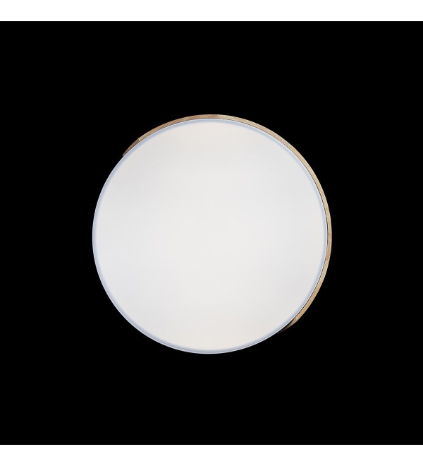 Потолочный светильник LOFT IT Axel 10004/36 White