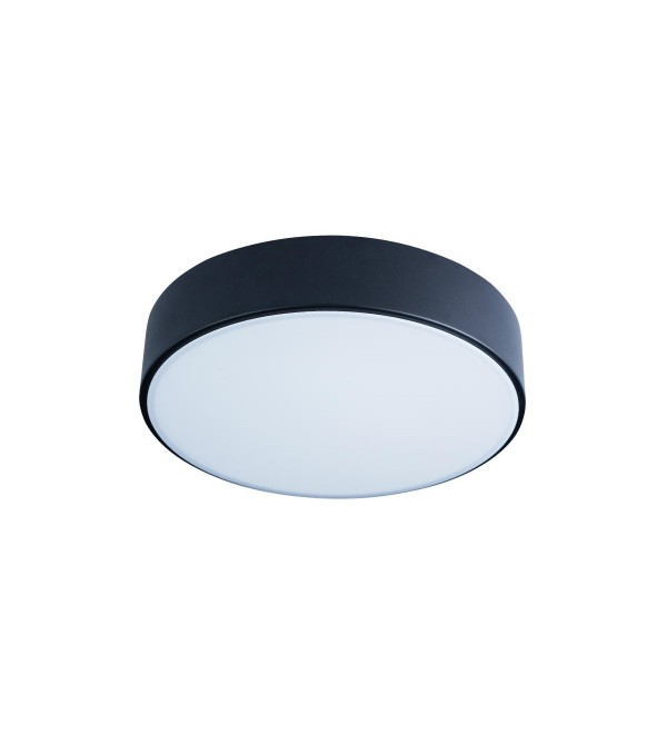 Потолочный светильник LOFT IT Axel 10002/12 Black
