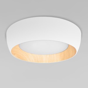 Потолочный светильник LOFT IT Folk 10255/500 White