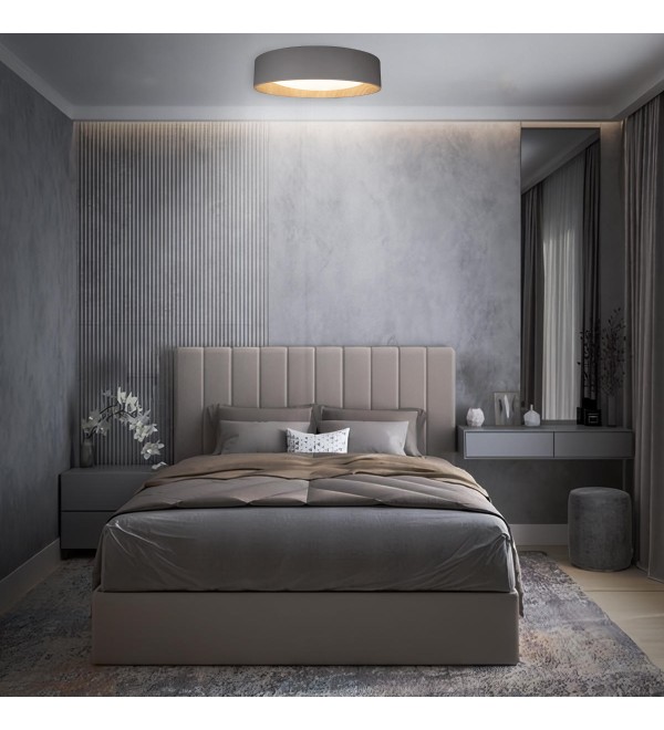 Потолочный светильник LOFT IT Coin 10202 Grey