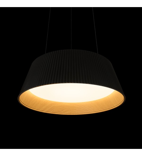 Подвесной светильник LOFT IT Evans 10224P Black