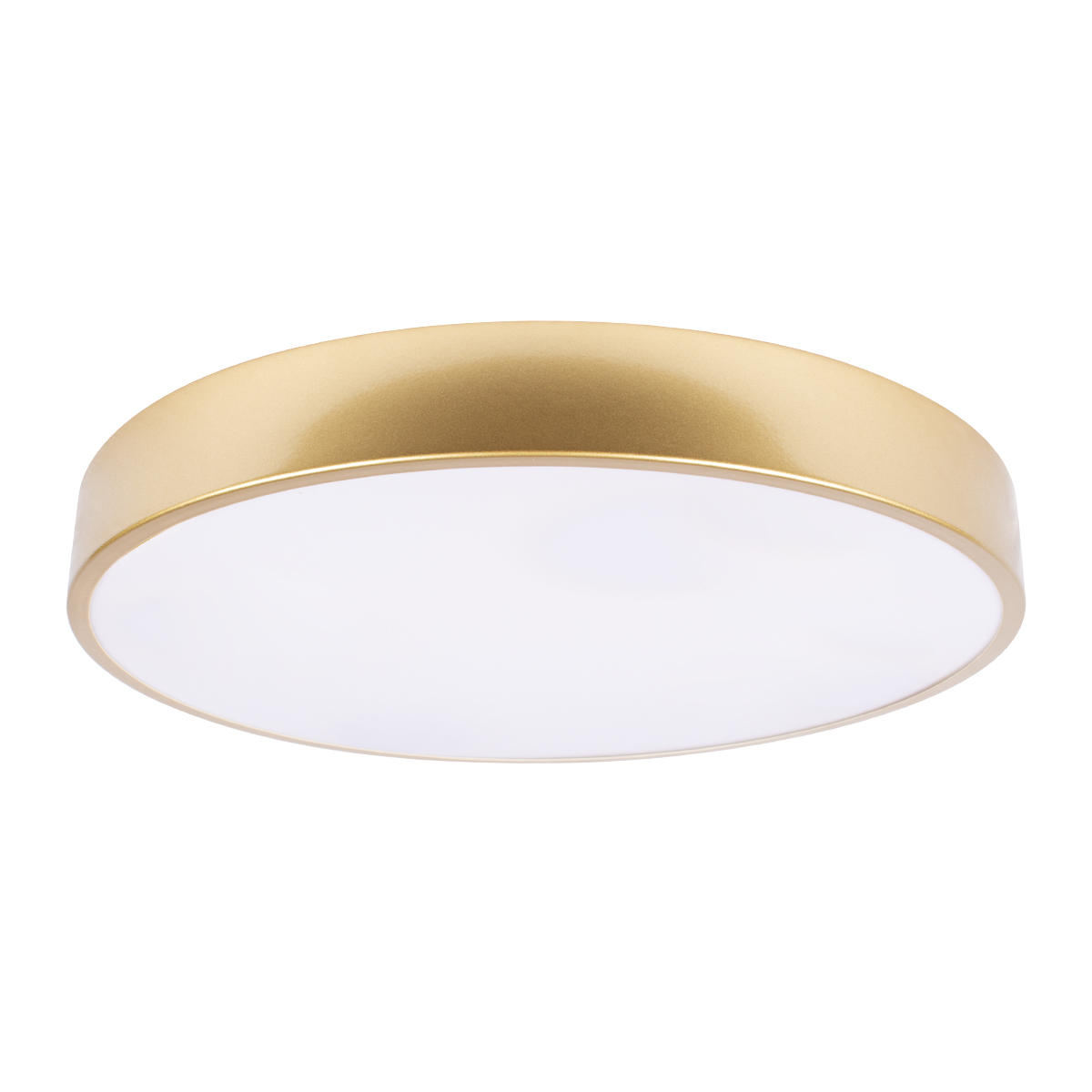 Потолочный светильник LOFT IT Flims 10228/A
