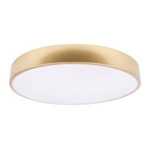 Потолочный светильник LOFT IT Flims 10228/A